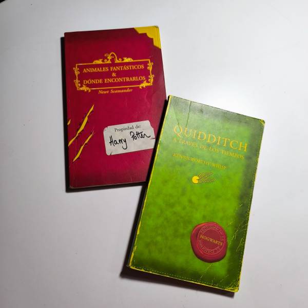 Kennilworthy Whisp, Newt Scamander - Animales fantásticos y dónde encontrarlos y Quidditch