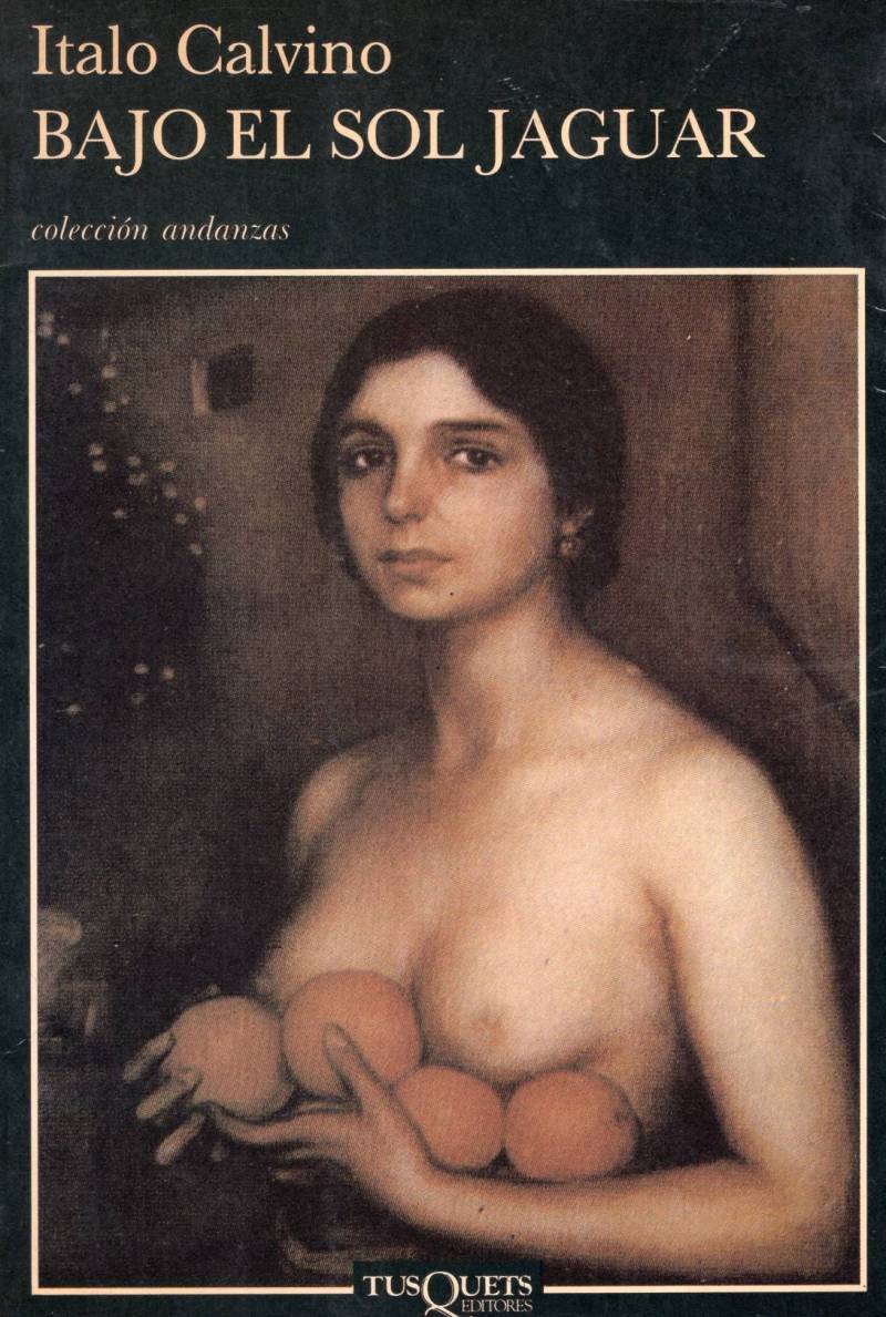 Bajo el sol jaguar